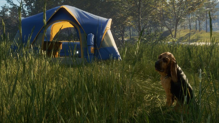 theHunter: Call of the Wild™ - Bloodhound image