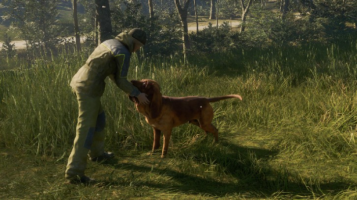 theHunter: Call of the Wild™ - Bloodhound image