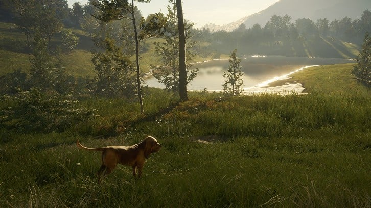 theHunter: Call of the Wild™ - Bloodhound image