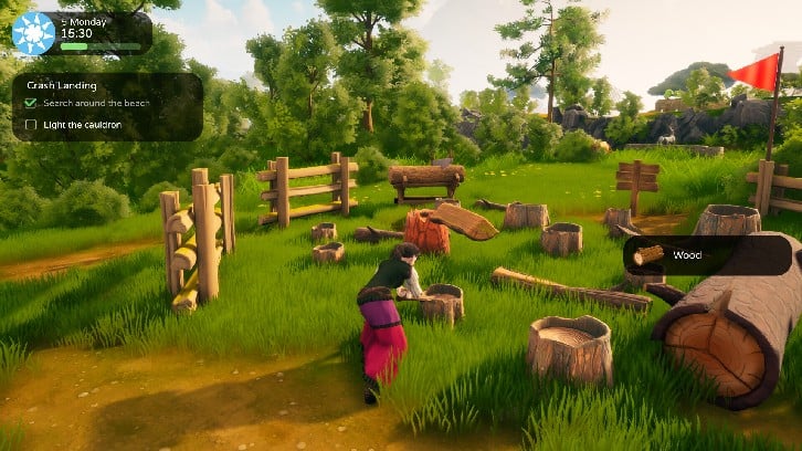 The Witch of Fern Island image