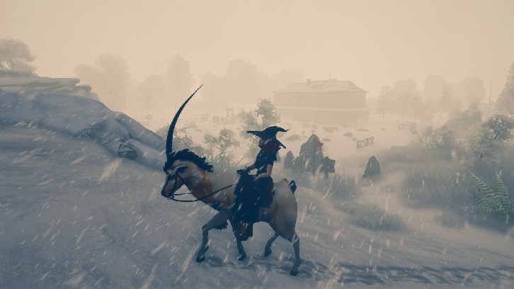 The Witch of Fern Island image