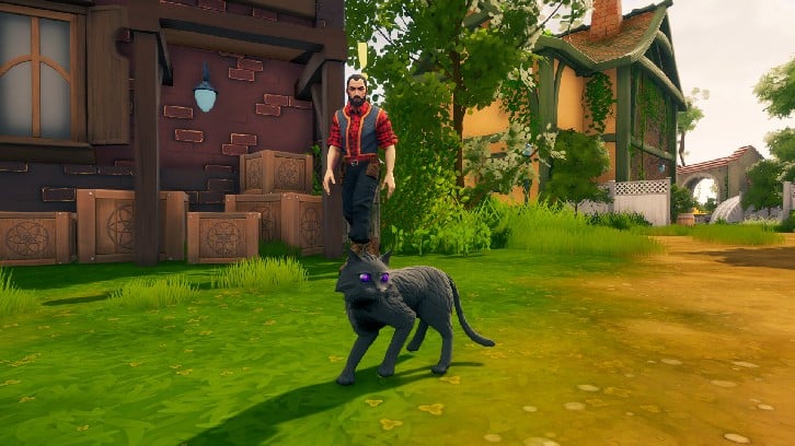 The Witch of Fern Island image
