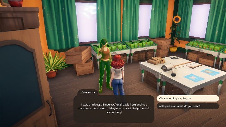 The Witch of Fern Island image