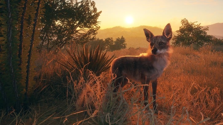 theHunter: Call of the Wild™ - Rancho del Arroyo image