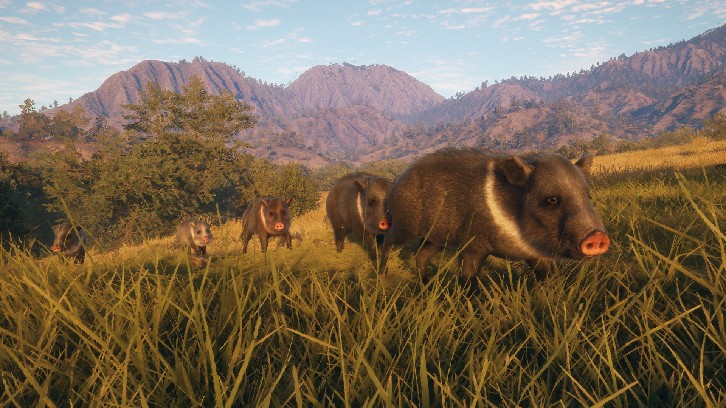 theHunter: Call of the Wild™ - Rancho del Arroyo image