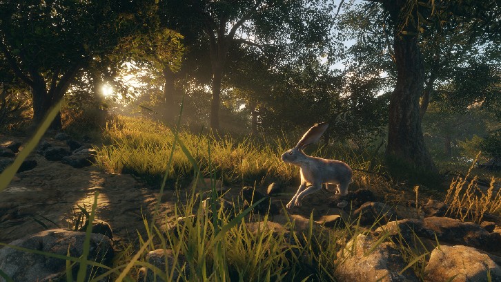 theHunter: Call of the Wild™ - Rancho del Arroyo image