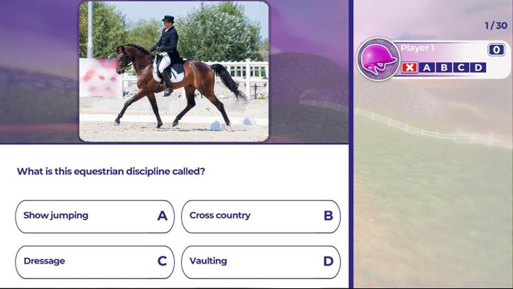 Equestrian Training Steam Key screenshot from the video game thumbnail 2
