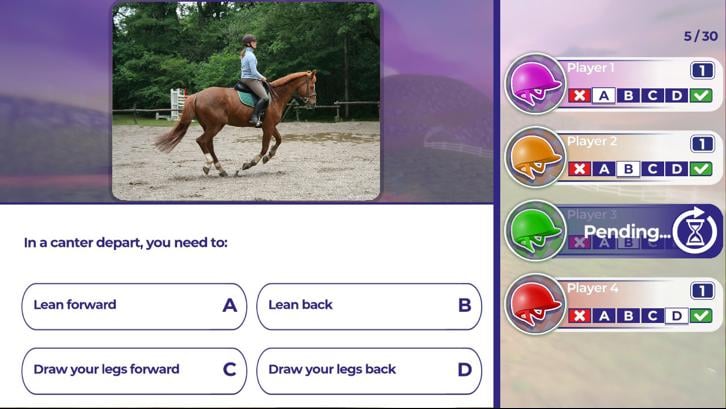 Equestrian Training Steam Key screenshot from the video game thumbnail 3