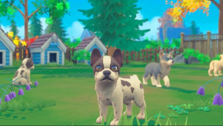 My Universe - Puppies & Kittens image