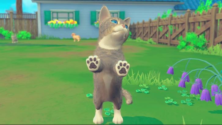My Universe - Puppies & Kittens image