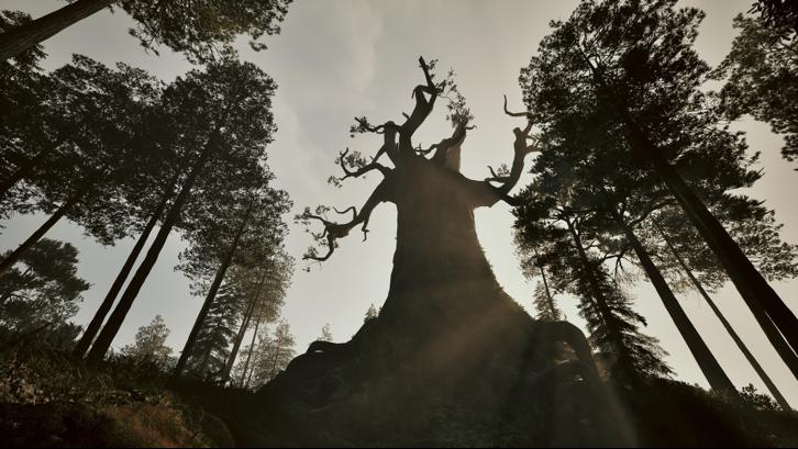 Among the Trolls Steam Key screenshot from the video game thumbnail 8