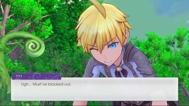 Rune Factory 5 image