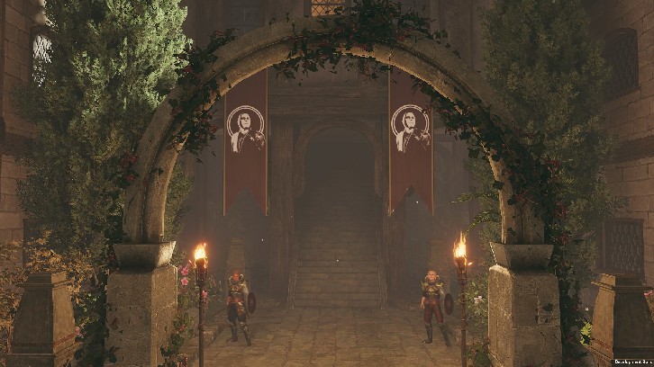 Solasta: Crown of the Magister - Lost Valley image