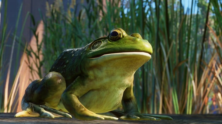 Planet Zoo: North America Animal Pack image