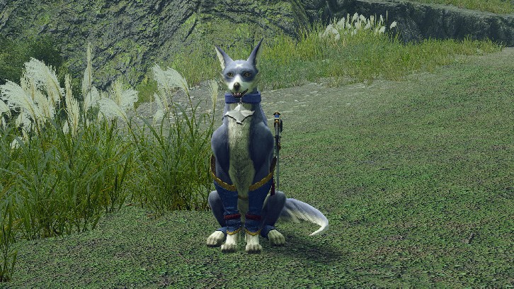MONSTER HUNTER RISE Deluxe Kit image