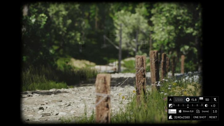Lushfoil Photography Sim image