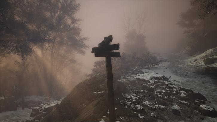 Lushfoil Photography Sim image