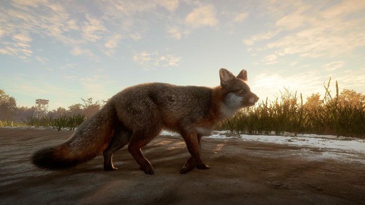 theHunter: Call of the Wild™ - Mississippi Acres Preserve image
