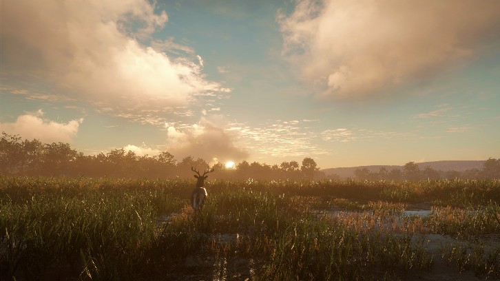 theHunter: Call of the Wild™ - Mississippi Acres Preserve image