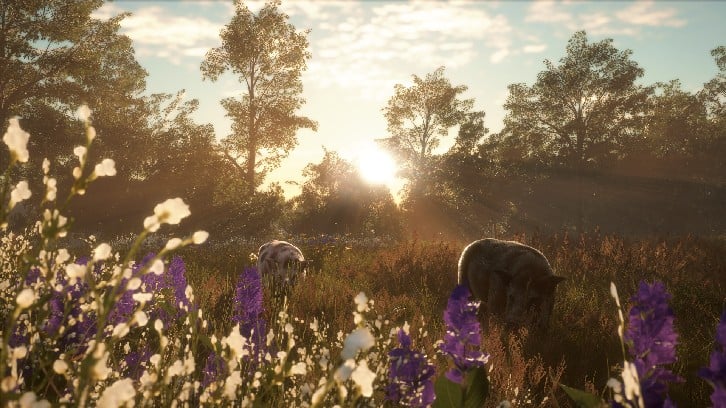 theHunter: Call of the Wild™ - Mississippi Acres Preserve image