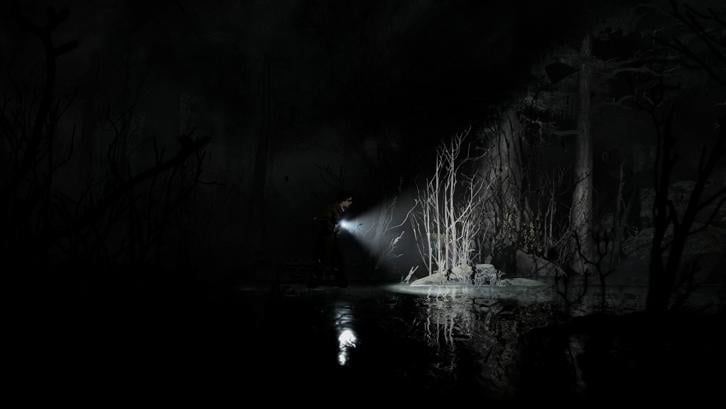 Silver Pines - Deluxe Edition Steam Key screenshot from the video game thumbnail 9