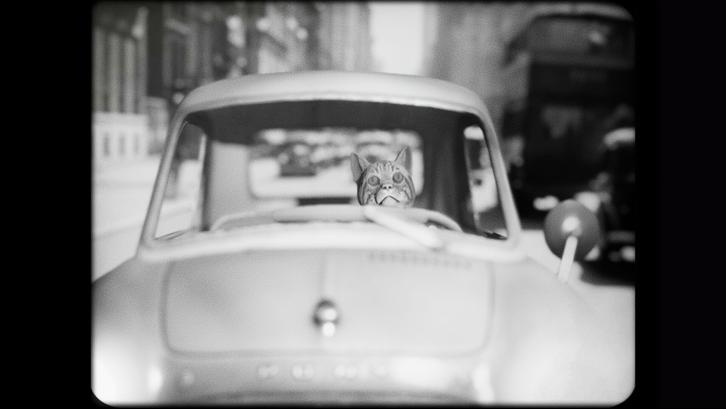 Cat Detective Albert Wilde image