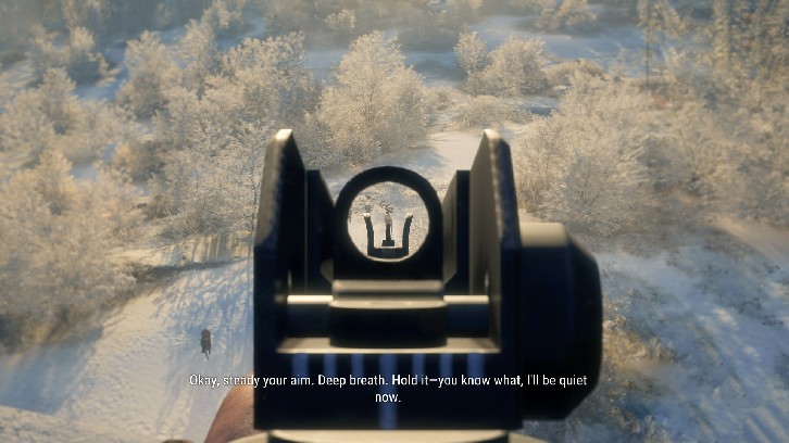 theHunter: Call of the Wild™ - Modern Rifle Pack image