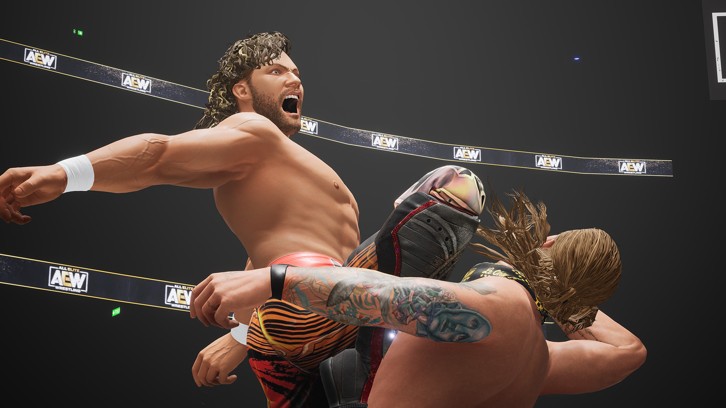 AEW: Fight Forever image