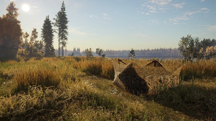 theHunter: Call of the Wild™ - Revontuli Coast image