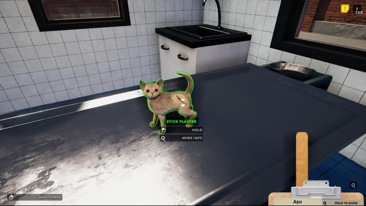 Animal Shelter - Puppies & Kittens DLC image