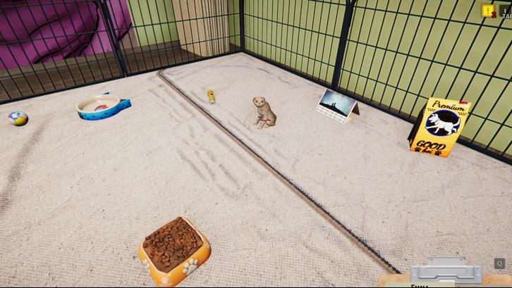 Animal Shelter - Puppies & Kittens DLC image