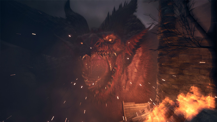 Dragon's Dogma 2 image