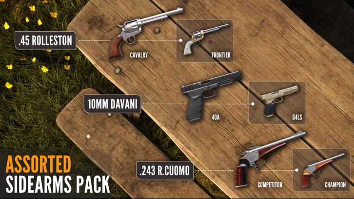 theHunter: Call of the Wild™ - Assorted Sidearms Pack image