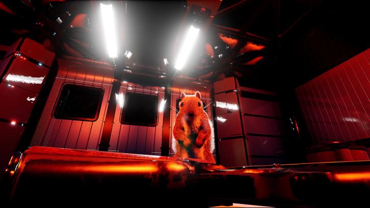 Squirrel with a Gun image