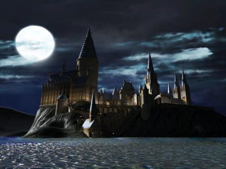 Lego Harry Potter : Years 1 - 4 image