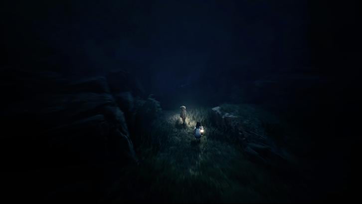 Pre-Purchase REANIMAL image