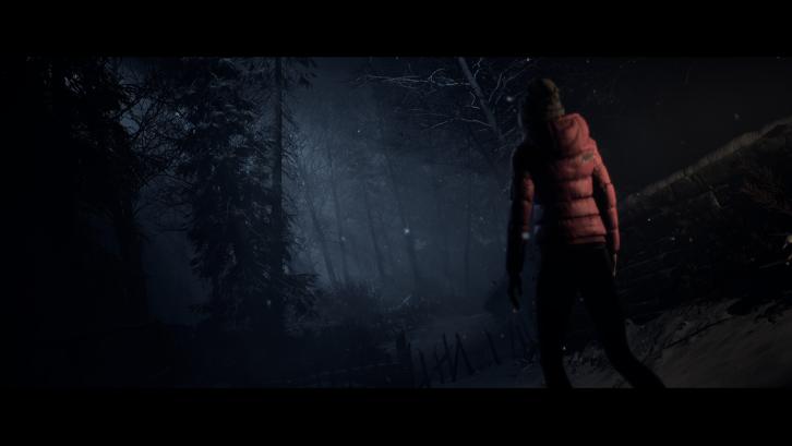Until Dawn™  image