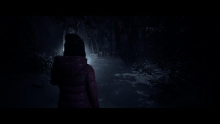 Until Dawn™  image