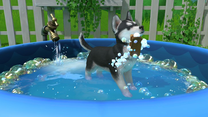 Little Friends: Puppy Island image