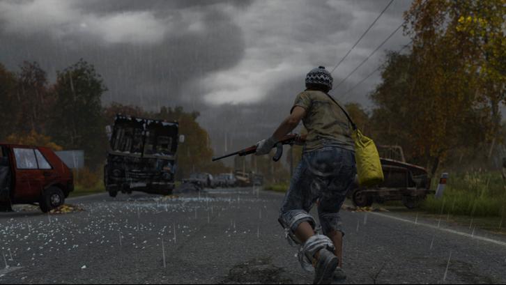 DayZ Deluxe Edition image