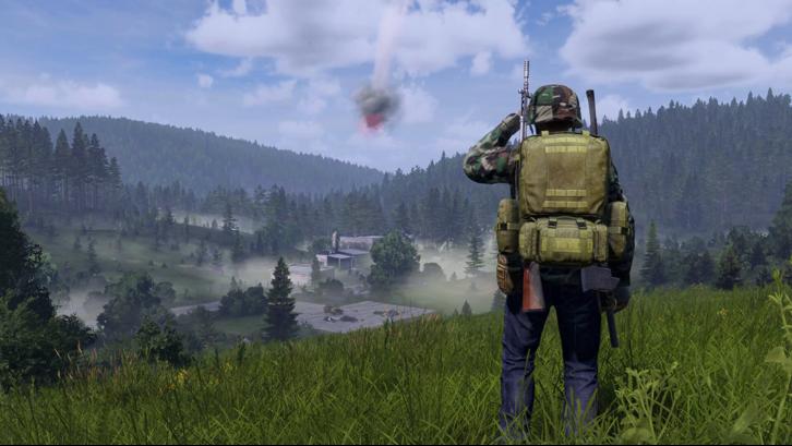 DayZ Deluxe Edition image