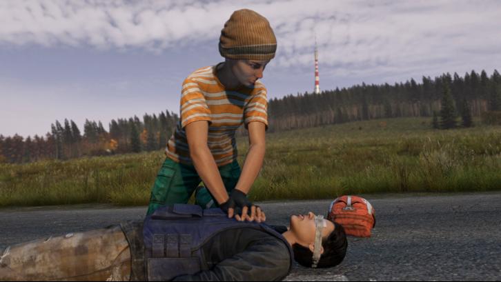 DayZ image