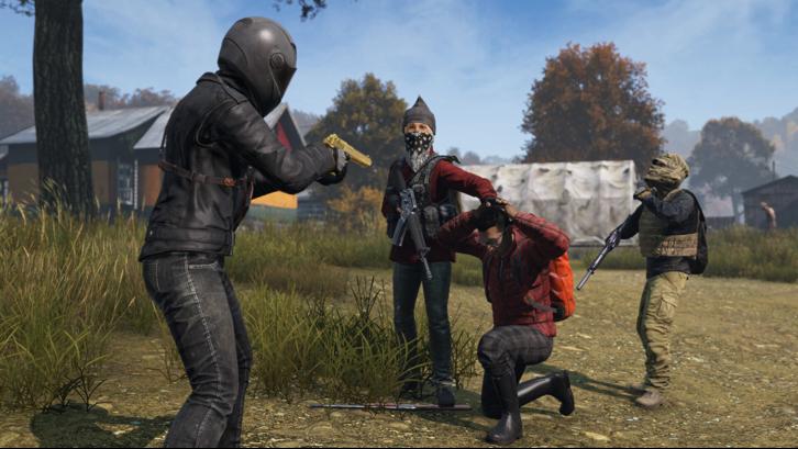 DayZ image