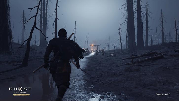 Ghost of Tsushima DIRECTOR'S CUT image