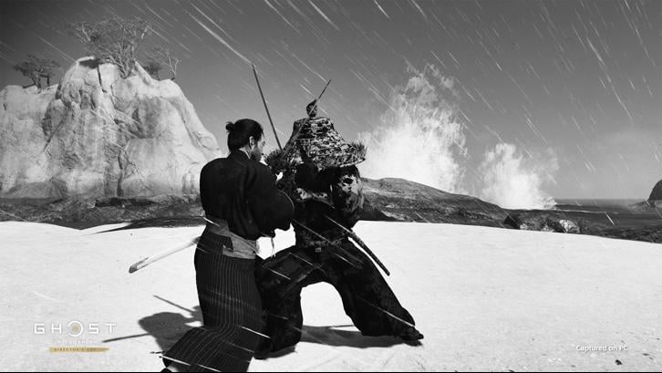 Ghost of Tsushima DIRECTOR'S CUT image