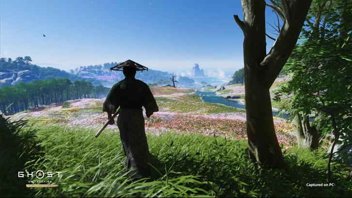 Ghost of Tsushima DIRECTOR'S CUT image