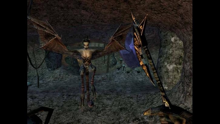 The Elder Scrolls III: Morrowind Game of the Year Edition image