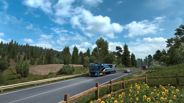 Euro Truck Simulator 2 image