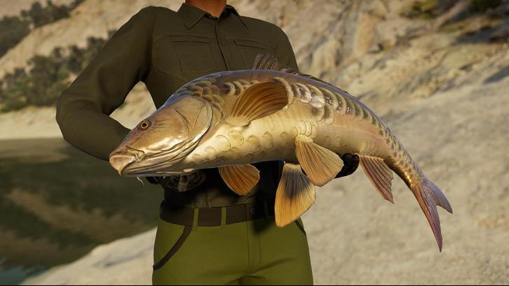 Call of the Wild: The Angler™ – Spain Reserve image