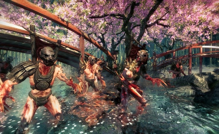 Shadow Warrior image